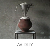 AVIDITY copia