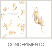 CONCEPIMENTO copia