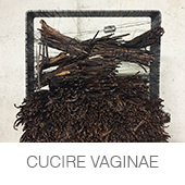 CUCIRE VAGINAE copia