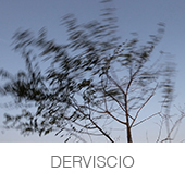 DERVISCIO copia