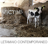 LETAMAIO CONTEMPORANEO copia