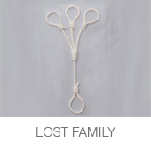 LOST FAMILY copia