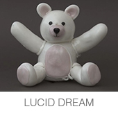 LUCID DREAM copia