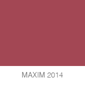 MAXIM-2014-copia1