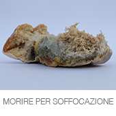 MORIRE PER SOFFOCAZIONE copia