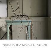 NATURA TRA MAIALI E POTENTI