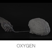 OXYGEN copia