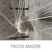 PASTA MADRE copia