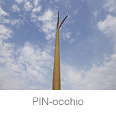 PIN-occhio copia