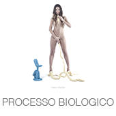 PROCESSO BIOLOGICO copia