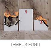 TEMPUS FUGIT copia