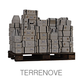 TERRENOVE copia