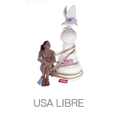 USA LIBRE copia