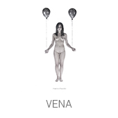 VENA copia