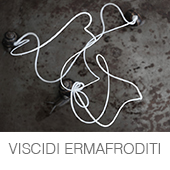 VISCIDI ERMAFRODITI copia