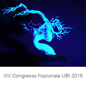 XIX Congresso Nazionale UBI 2015 copia