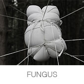 FUNGUS