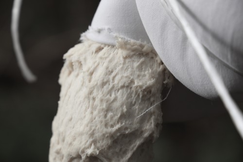 fungus_chiurato_02