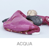 acqua_polimerica