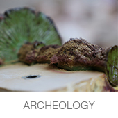 archeology_01