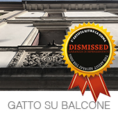 gatto_su_balcone01