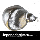 lepenedartista_intoxicate_mercurio