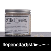 lepenedartista_sdentini