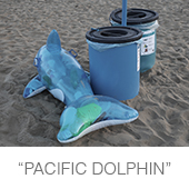 pacific_dolphin