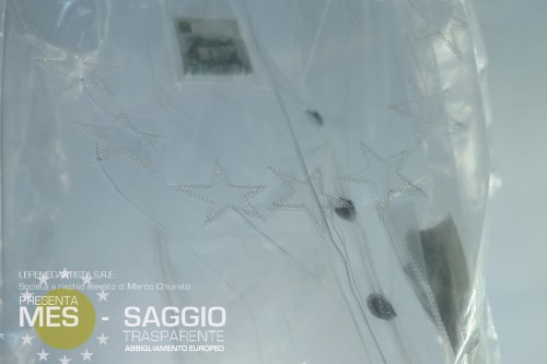 mes_saggio_41lepene