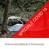 paramascherine