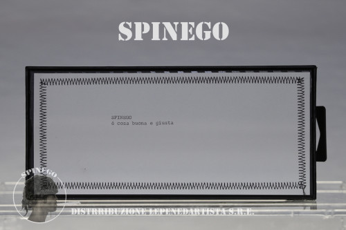 spinego_03